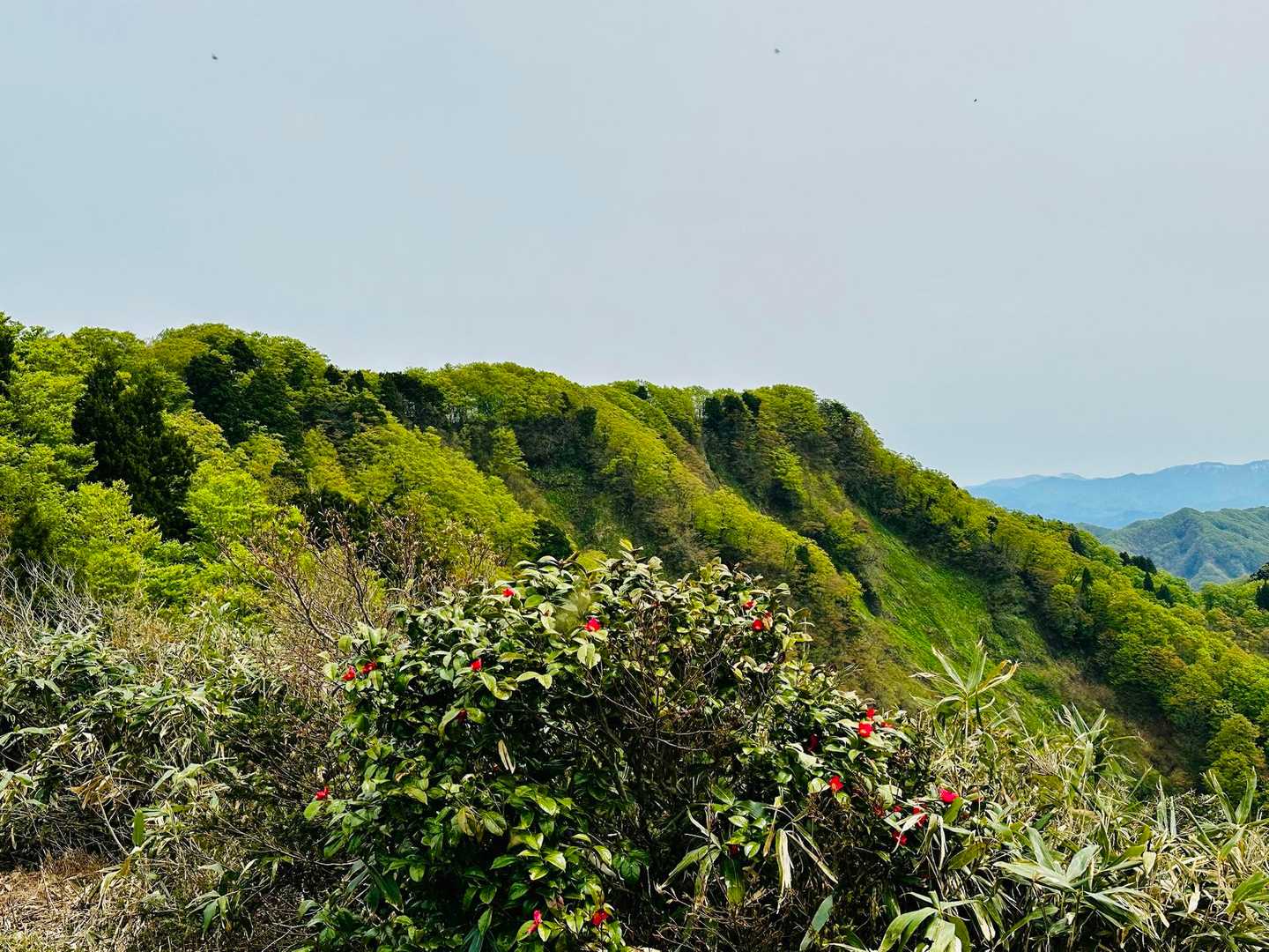 胎蔵山山頂　左手