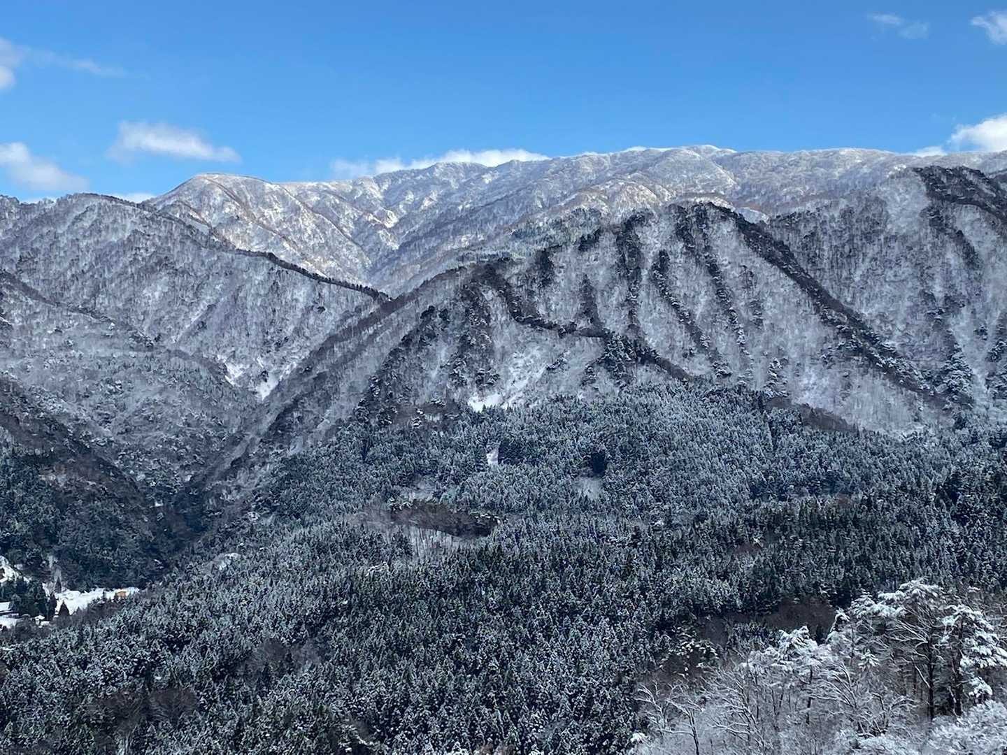 越山へも行ってみることに
