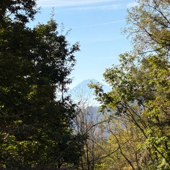 富士見平の名の通り富士山が見えました。