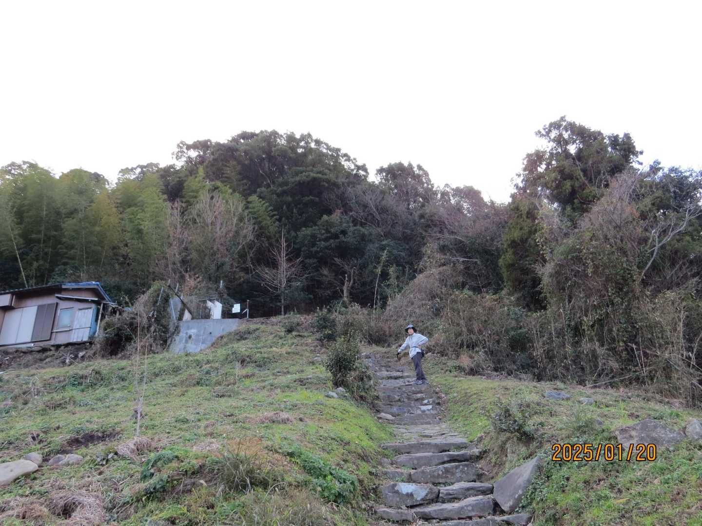 登山道が明確に！両サイドの畑の木々(サザンカやビワの花)に来るメジロやヒヨドリ等の野鳥🐦を眺める👀