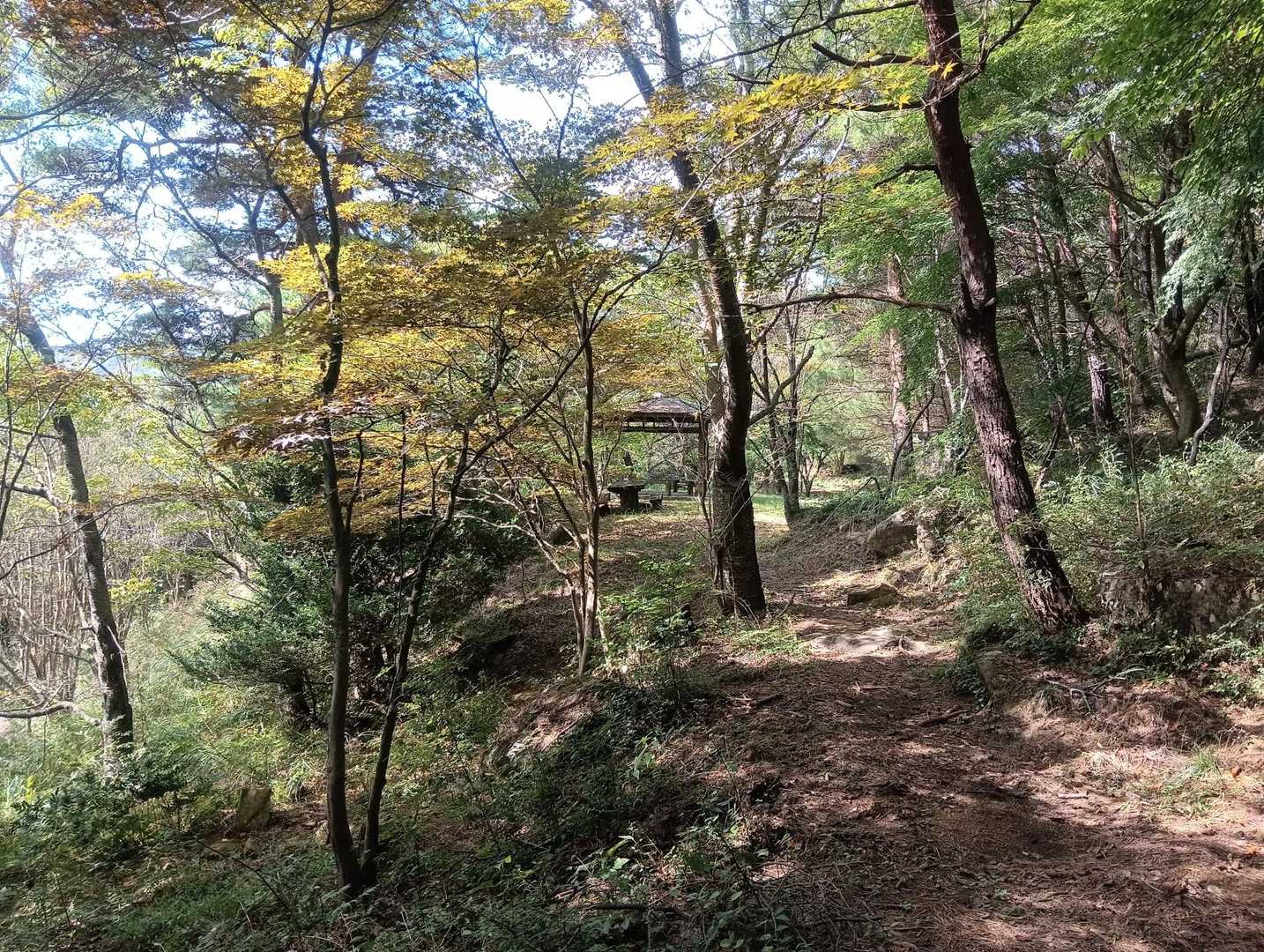 東屋