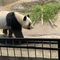 飼育員A子
