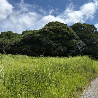ここらで少し休憩。