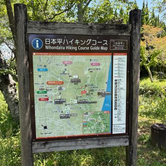 日本平山頂と有度山ハイキング / pocopacoのハイキングデータ | YAMAP