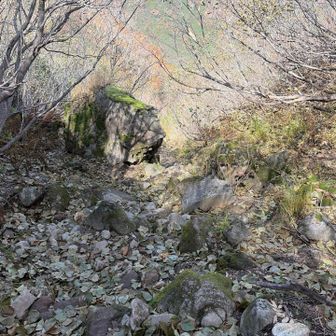 大倉乗越への分岐点まで岩だらけの道を下る