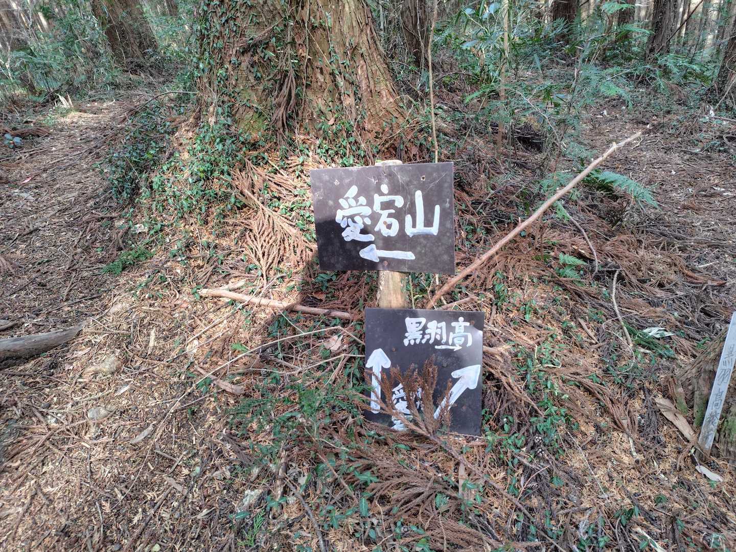 と思っていたら黒羽高が転がった先にあるではないですか‼️
笑い転げ坂896、結成確定ですね👍️