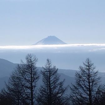 天女山山頂からの富士山。