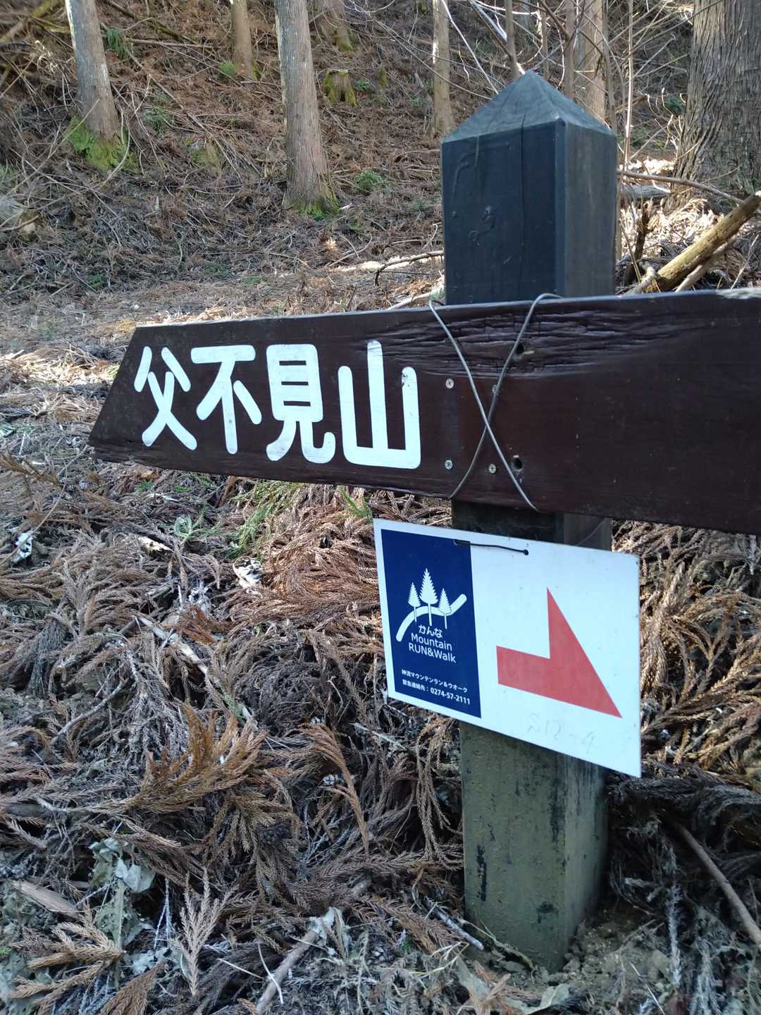 杉ノ峠-父不見山 往復コースの写真