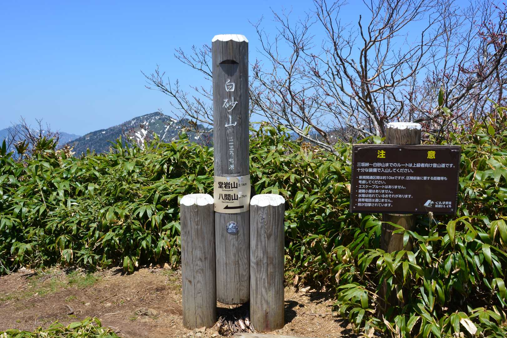 白砂山山頂到着。