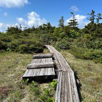 東吾妻山から景場平方面へ下る