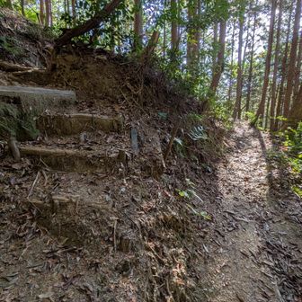 遠回りのなだらかな易しい道と、ショートカットで斜度がある階段が選べます