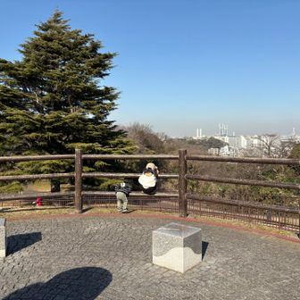 展望台としてよく整備されたとても人工的なピークです。
見晴らし山、標高46m。
それでも横浜港やベイブリッジが見渡せて良い眺め。
今日は見えなかったですが、富士山も見えるそう。