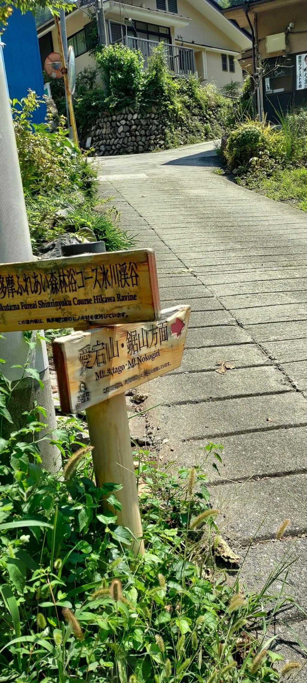車道を歩く。暑いので日傘をさすといいです。