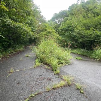 ここで間違った。右は頂上へ至る林道、左が登山口へ向かう道