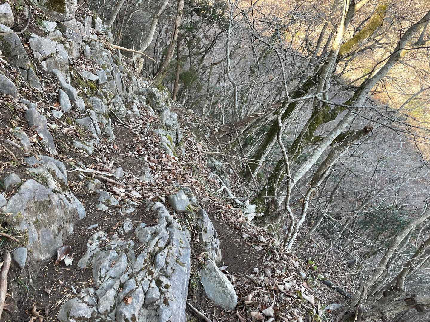 切れ落ちている所を進みます