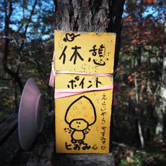 ベンチあります