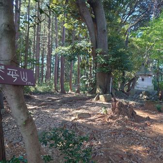 山頂到着
