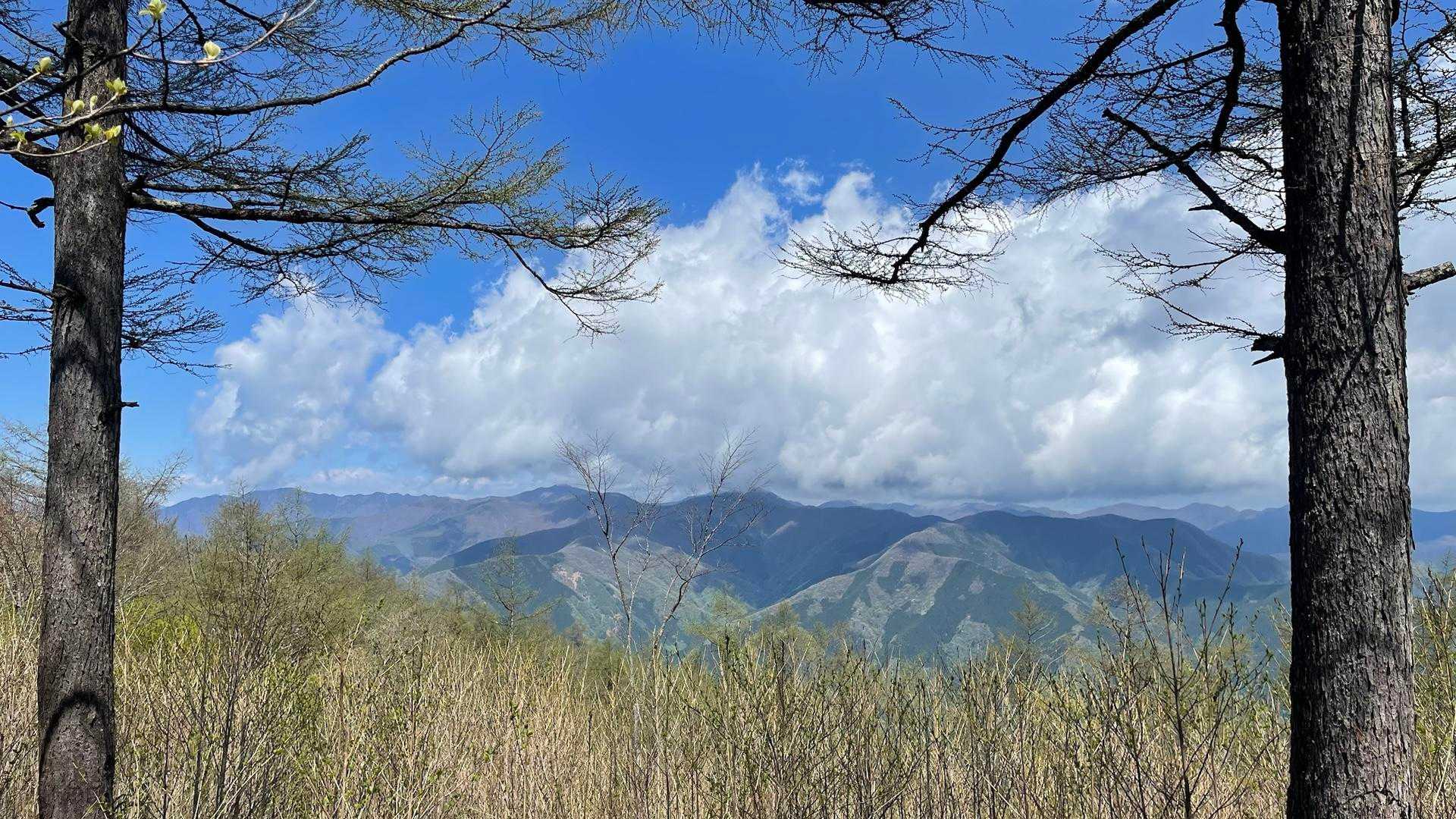 奥多摩湖バス停-指沢山-惣岳山-御前山 往復コースの写真