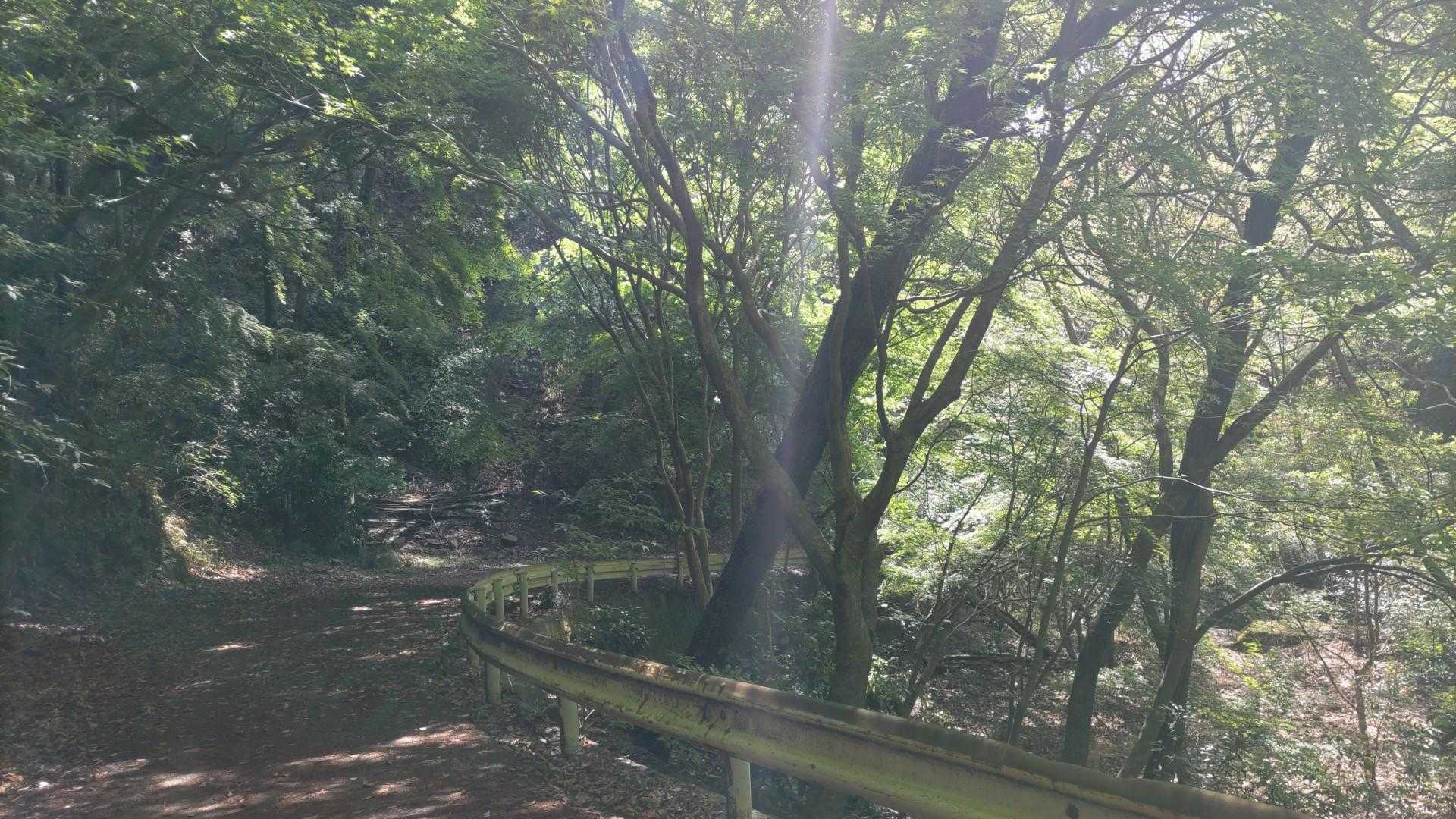JR元町駅-地下鉄　県庁前駅-諏訪神社参道-諏訪神社-大龍 縦走コースの写真