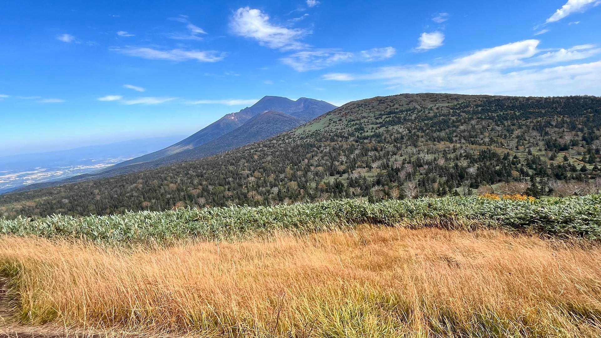 振り返ると岩手山👀