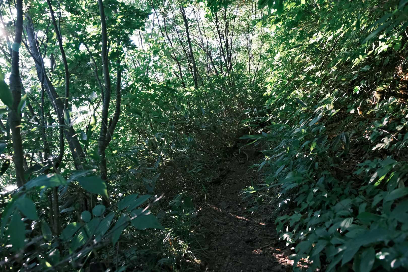 無になって歩く