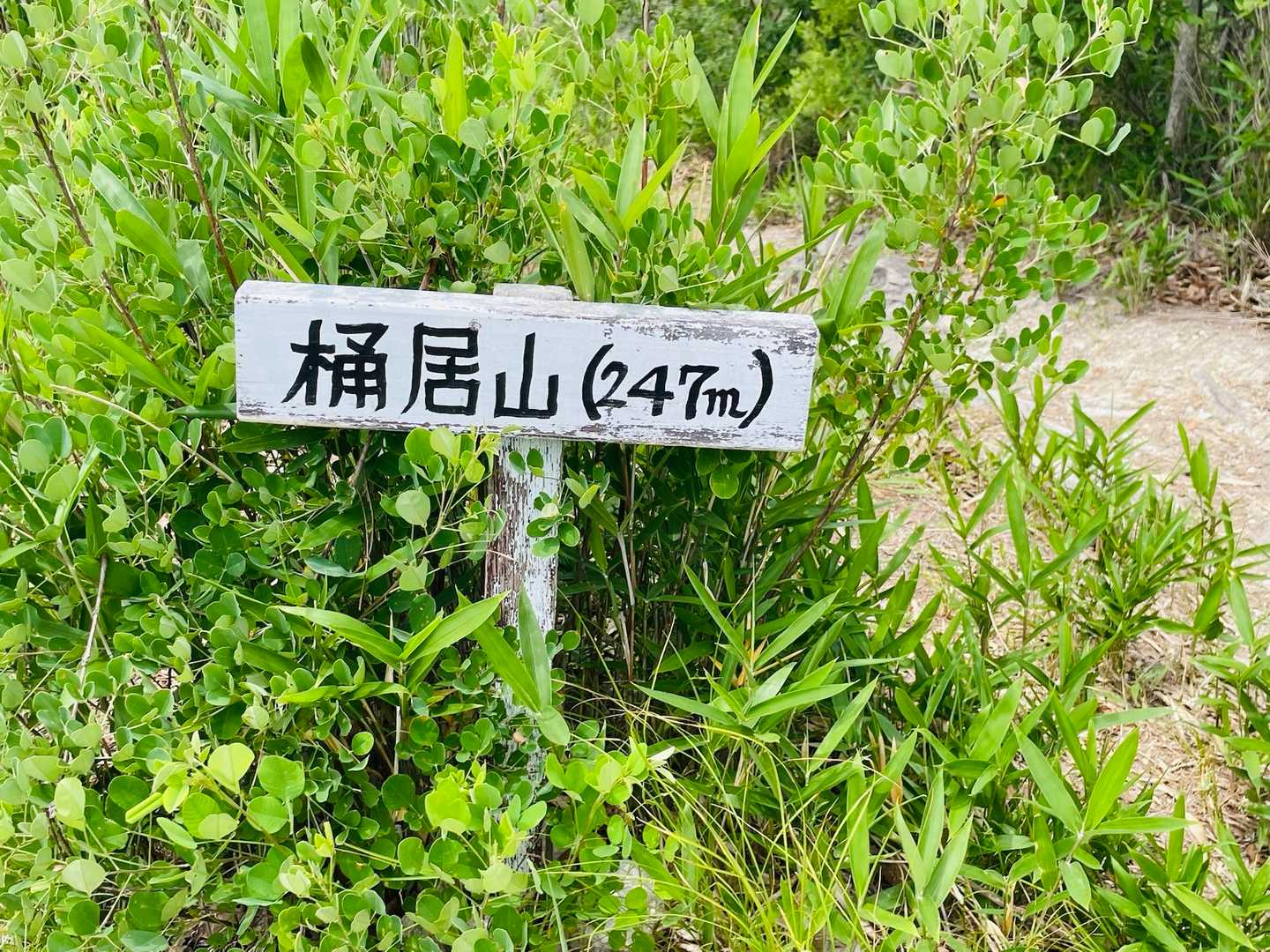 白髭神社登山口-斉藤山-桶居山 周回コースの写真
