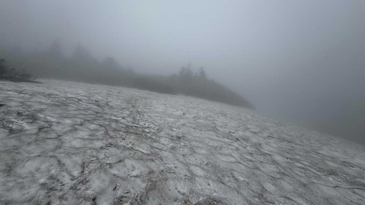 八甲田山（大岳・井戸岳・赤倉岳）／青森遠征Day2 の写真 17