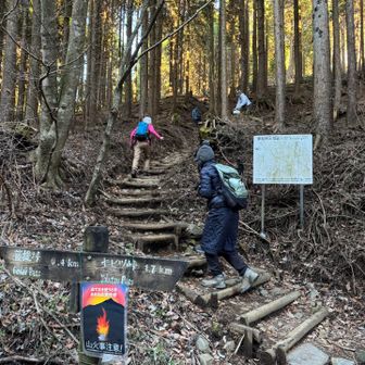 すぐ登山道が始まる。