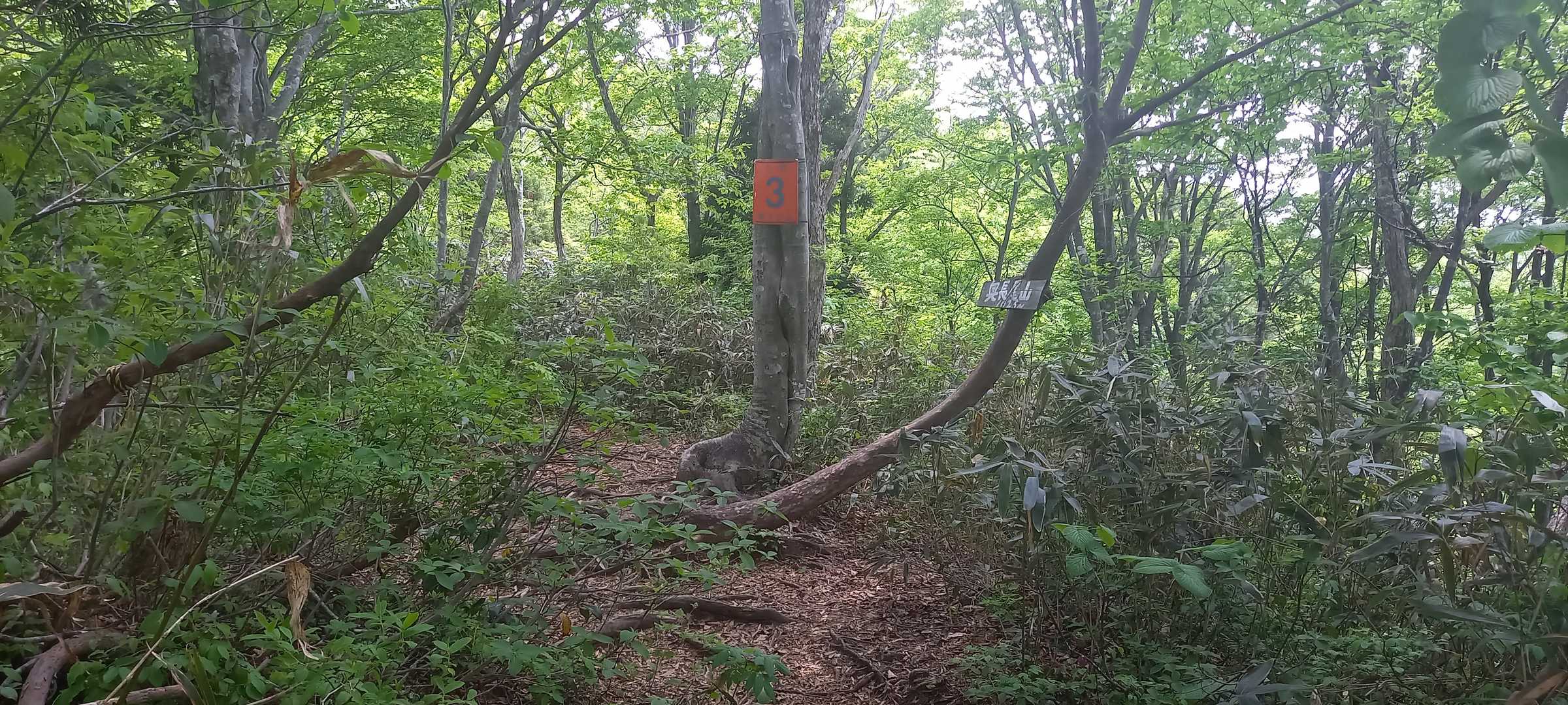 奥長尾山 1,025㍍ 通過