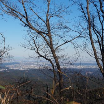 関東平野の眺望も楽しめますが、冬季限定の眺めかも