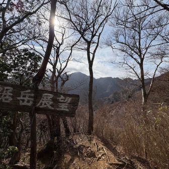 縦走中
鋸岳方面が見られる展望スポット
右のギザギザがすごい！
両神山を思い出します

正面の三角が位牌岳かな