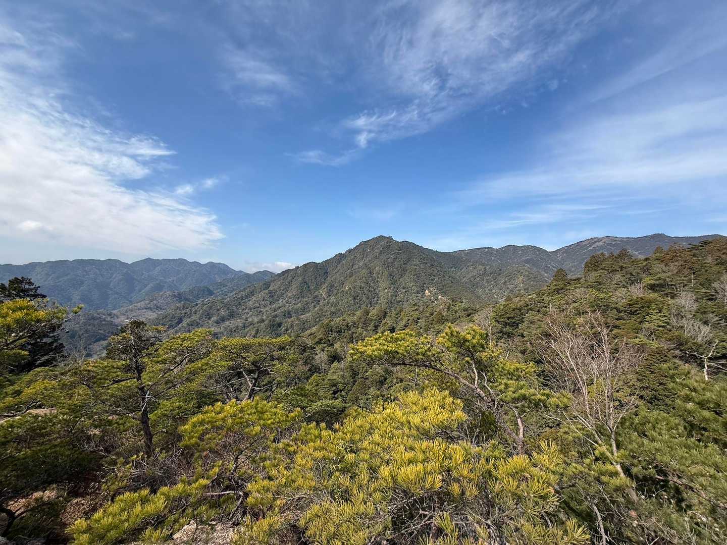 臼杵山登山口-長坂の頭-船石-小太郎峠-臼杵ヶ岳 周回コースの写真