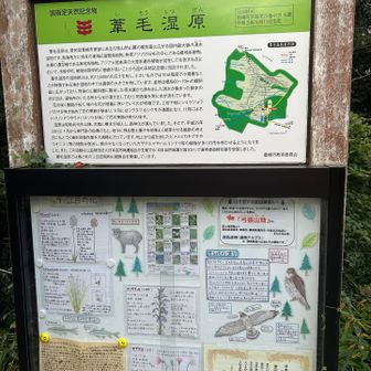 ここは弓張山地だ！との主張が強い😓湖西アルプスは静岡側だけの名称らしいです