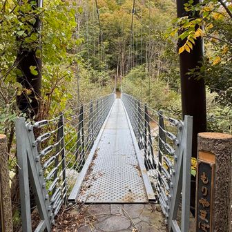 こちらは丈夫な吊り橋。