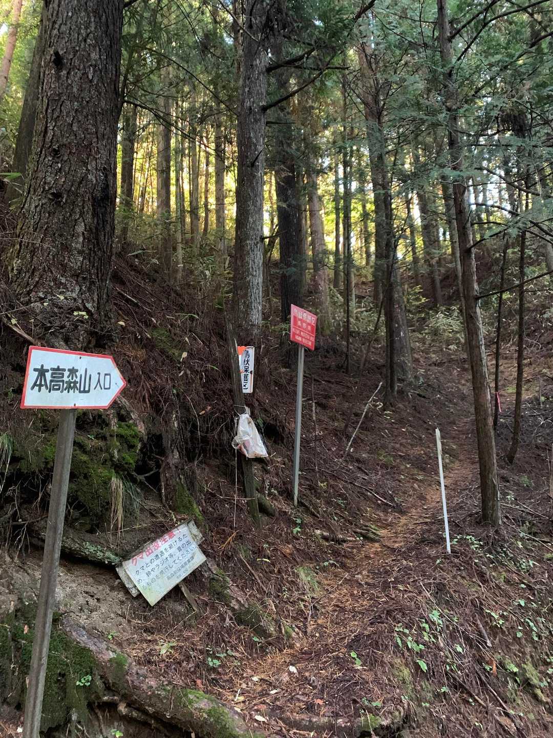 Day1
本高森山へ登ります♪
登山口
ここへ来るまでの林道が
前日の台風崩れの雨でかなりワイルド
たどり着けて良かったー😊