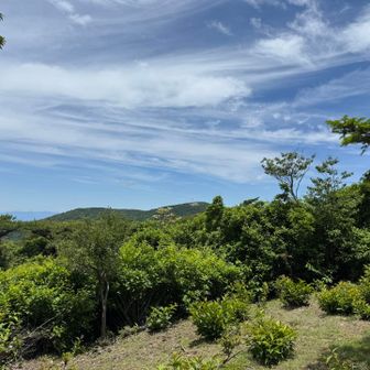 気づいたら山頂
