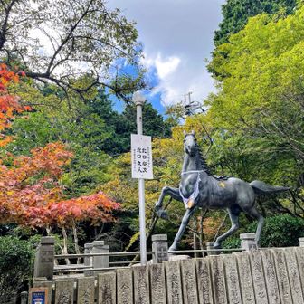 山頂は秋の気配🍂