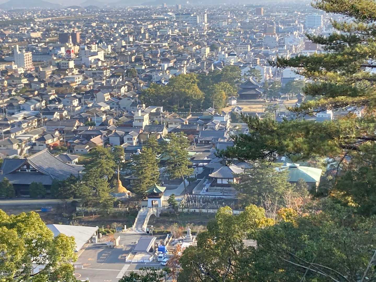 善通寺を見下ろす
