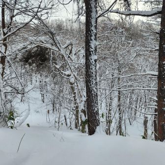 若干登り返しも有りでしたが💦女子談に花を咲かせながら楽しく🚶‍♀️🚶‍♀️💨🎵