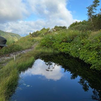 小屋西側にある種池。サンショウウオ居るはずで気泡は見つかるのにまだ、光線低くて水面暗く
見つからなかった。