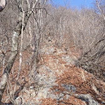 ザレてますねえ🐾
