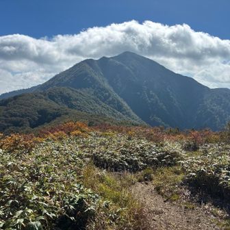 1年ぶりにきたけど相変わらず良い山です⛰️