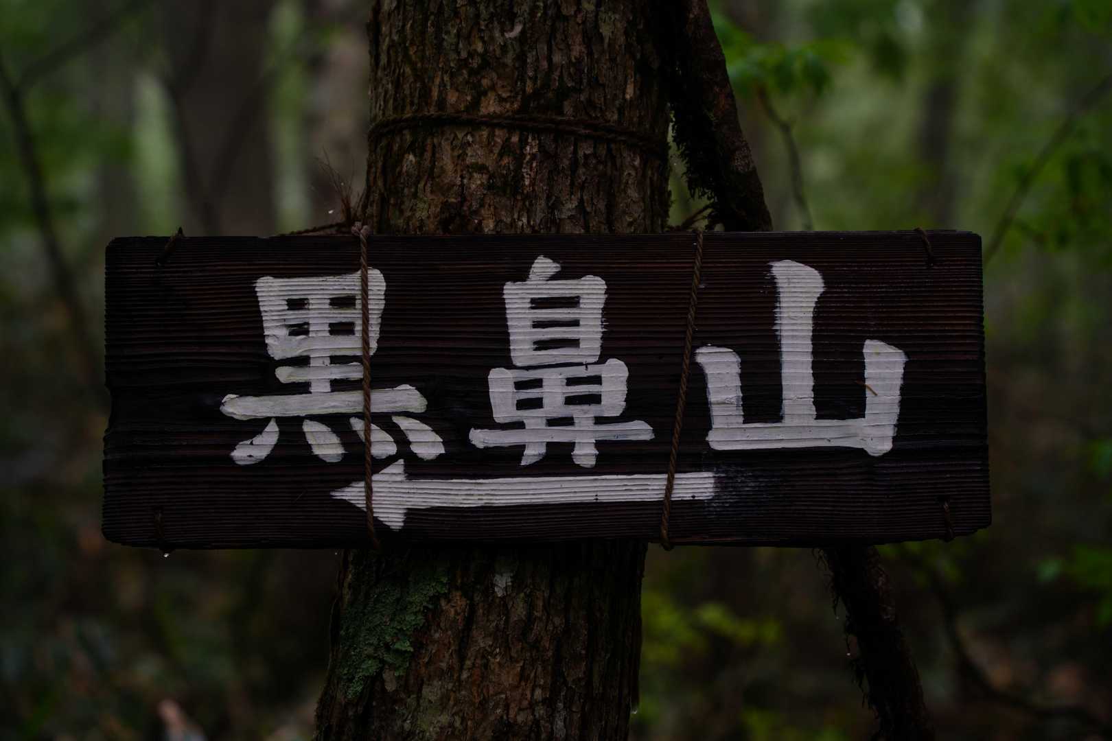 黒い鼻で毛もくじゃらの子には出会いませんように。