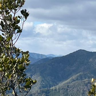 こちらは台高方面
最奥にチラッと古ケ丸山近くの八景山が見えます
今日の台高は霧氷が沢山だろうけど寒いだろうね、ここでも寒い