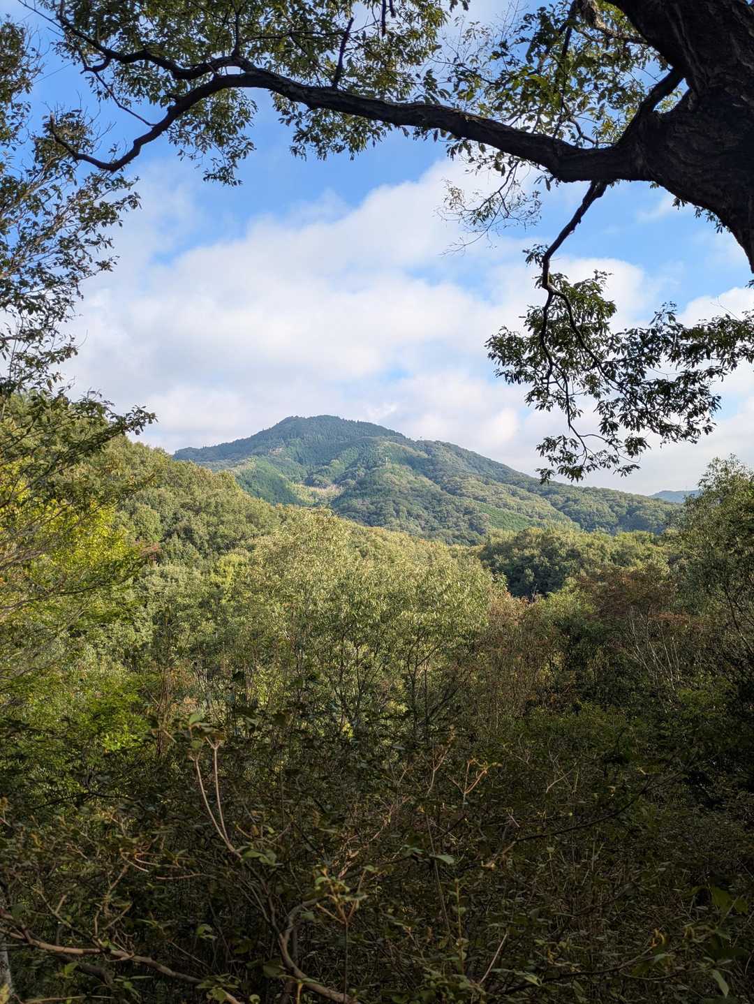 蛇円山 周回コースの写真