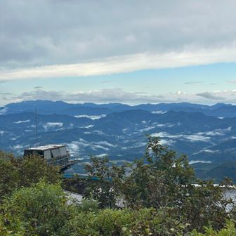 白神山地かな？