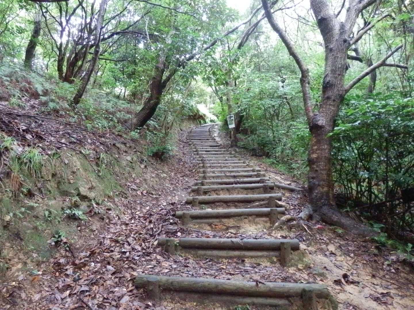 整備されたトレイル