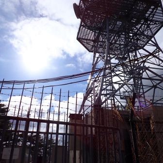 ここもピークなんですけども。
縦走路外