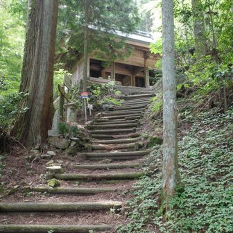 再び階段を登り詰めて山門が見えてきた