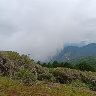 山頂開けてて良い感じでした
テント好きは　テント張れそうって直ぐ思ってしまいます
多分　張っちゃダメです
